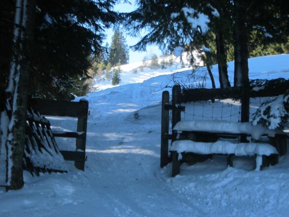 die Burganna-Mähder sind erreicht