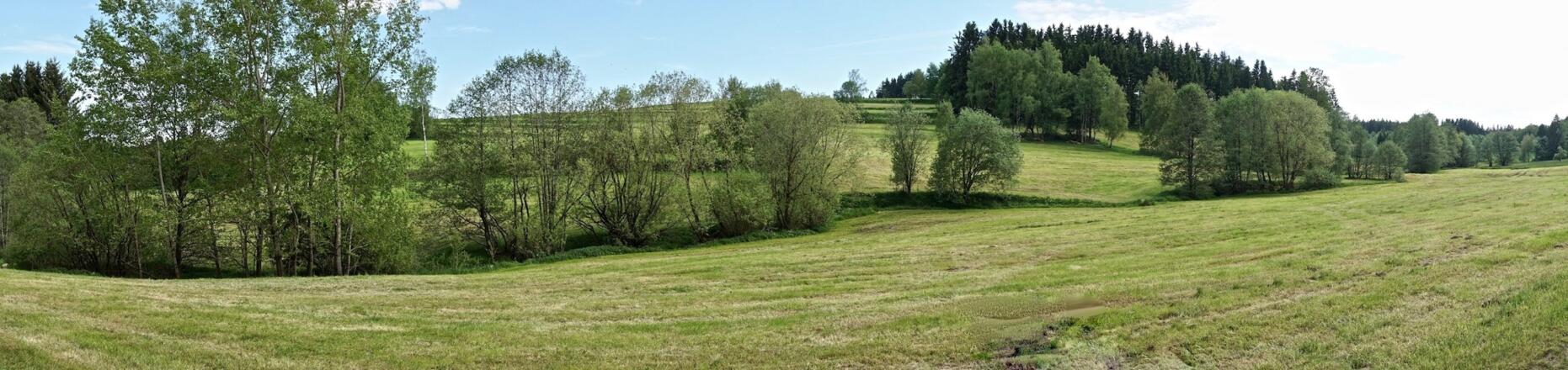 Hollerbachtal nach Kirchberg
