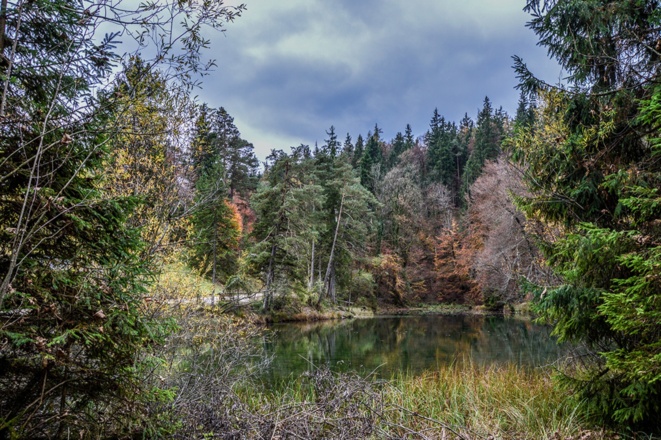 Herbst am Listsee Bad Reichenhall