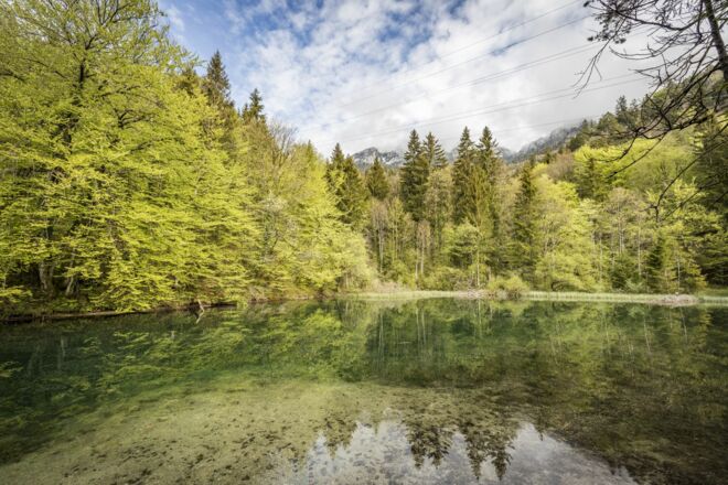 Tiefgrün: Der Listsee