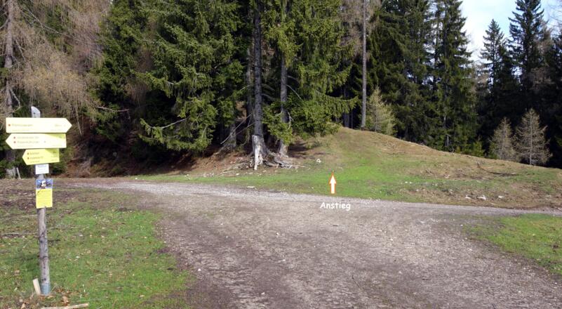 Rieser Alm 1270m