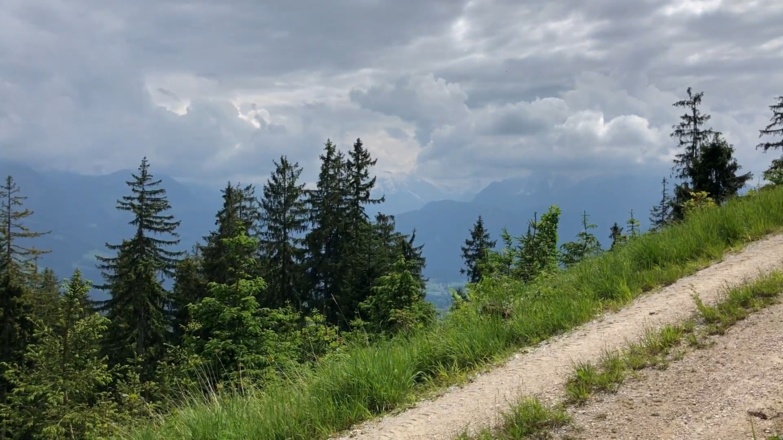 Der Abstieg erfolgt über leichtere Wege und stelenweise Forststraßen