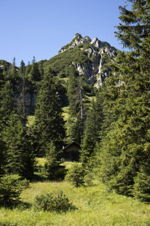 Die Neualp-Jagdhütte ist ein wenig im Wald versteckt.