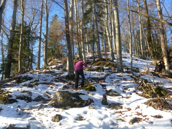Gipfelrücken