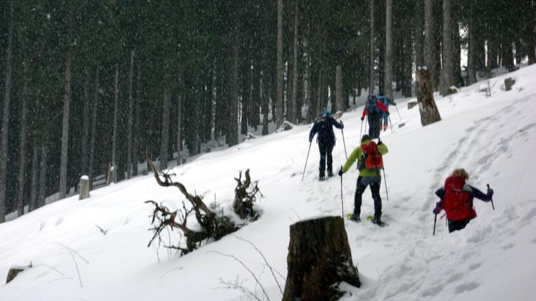 Schlussanstieg (ein Schneeschauer)