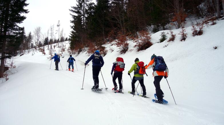 Vor dem Sattel 1040m, dann rechts an