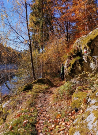 Uferpfad Eixendorfer Stausee