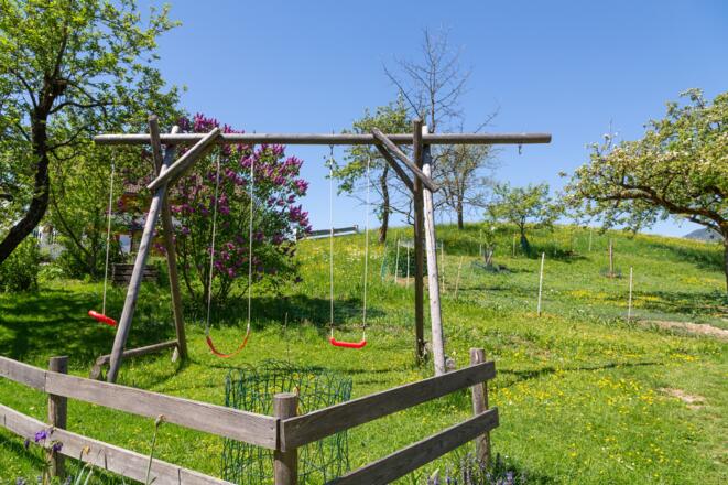 19 FEWO-Fleck Hans Schaukel