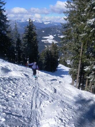 steile obere Waldlichtung