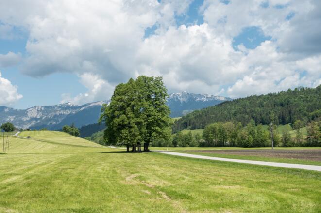 Blick zum Sengsengebirge bei der Rückfahrt von Spital nach Windischgarsten