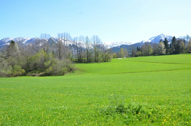FiSCHERGUT Ausblick