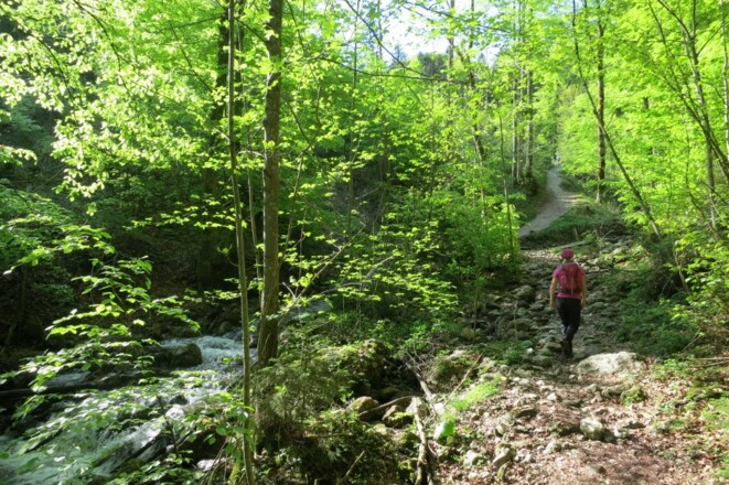 Aufstieg zum Laudachsee durch die Klamm