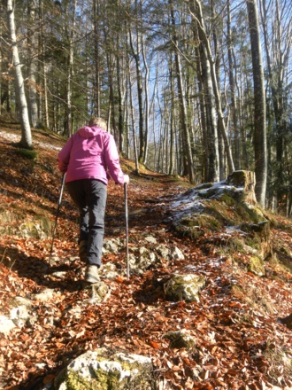 Hohlweg zum Sattel nach Hof