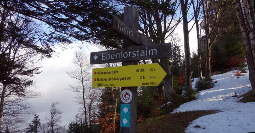 Wegteilung ~1295m rechts zum Grat