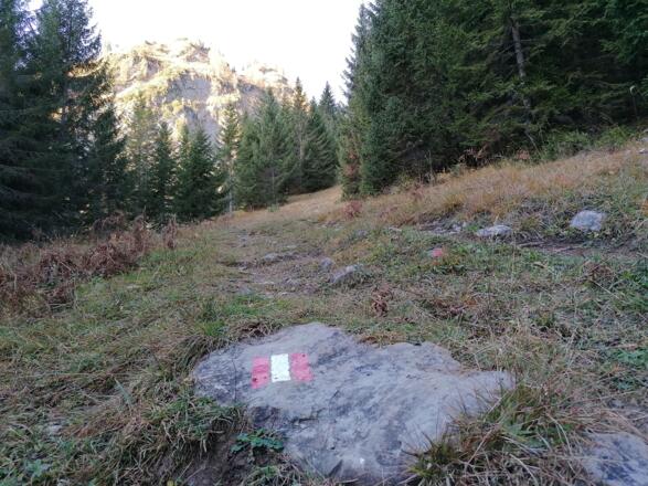 Bis sich die Forststraße in einen Weg verwandelt