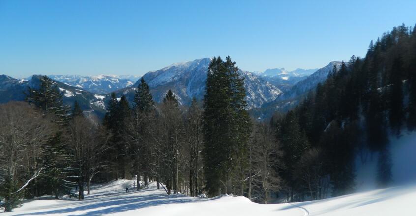 Blick zu Hochschwab, Größtenberg und Gesäuse