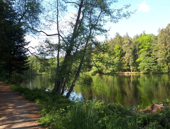 Dreiburgenseerunde (kurz)