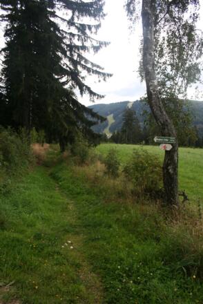 Abzweig auf Pfad