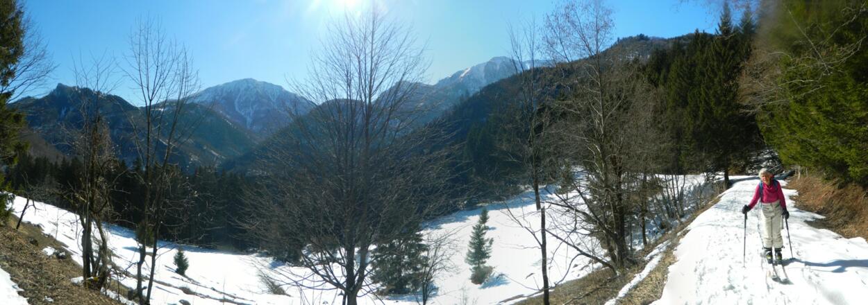 Ausblick von Zaglbauernalm