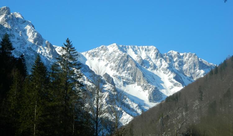 Tele Hoher Nock