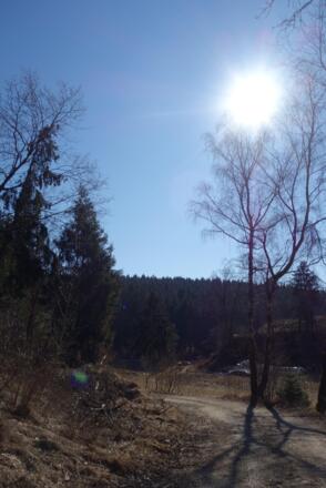 immer wieder tolle Blicke