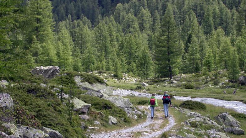 Es geht weiter bergab.