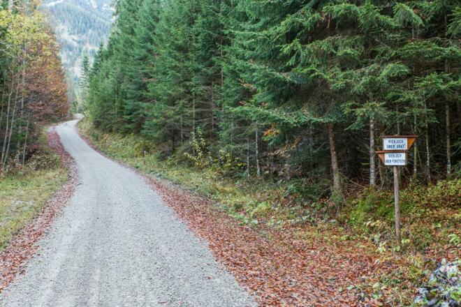 Hier geht&#039;s rechts rauf zum Kienjoch