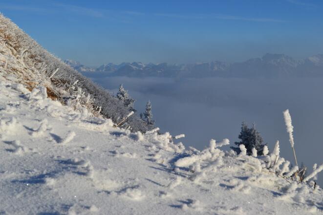 Vergängliche Schönheit am Grünten