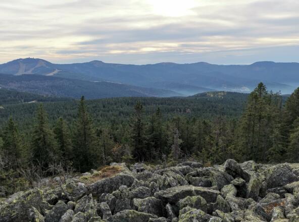 Blockmeer zum Zwercheck
