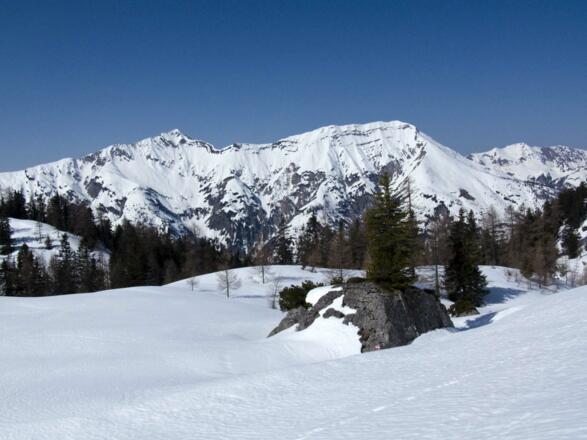 Bei der Abfahrt hält man zwischen Kotalm-Hochleger und Kotalm-Mittelleger genau auf Seeberg- und Seekarspitze zu.