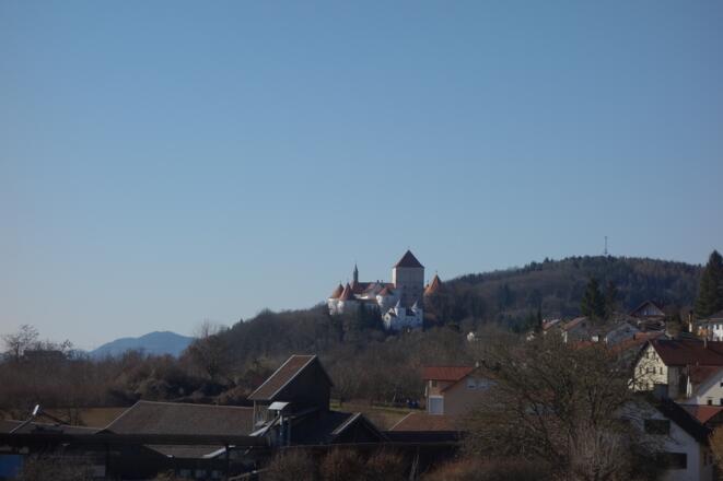 Blick auf Schloss Wörth a.d.Donau