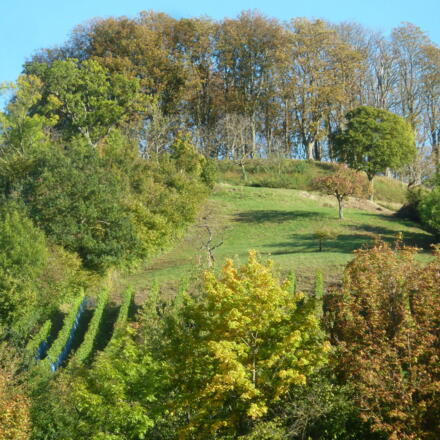 Casteller Schlossberg