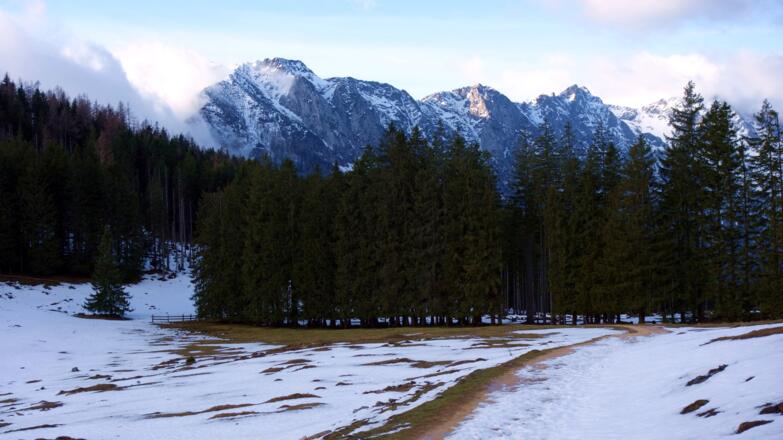 Schaumberg-Almgebiet erreicht