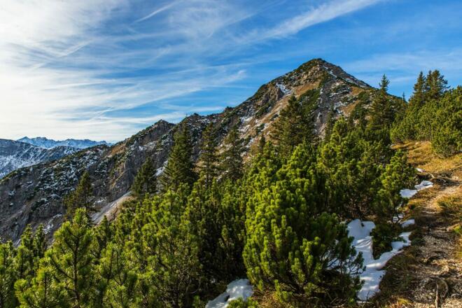 endlich raus aus dem Wald