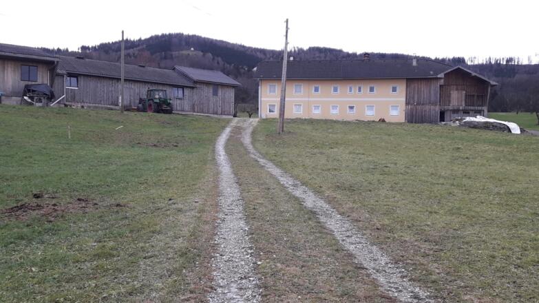 der Weg bergab führt bei vielen Höfen vorbei