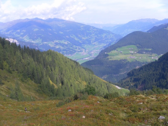Alpenrose und Zillertal