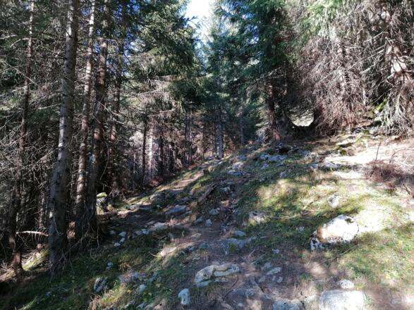 Auf gut markierten Weg