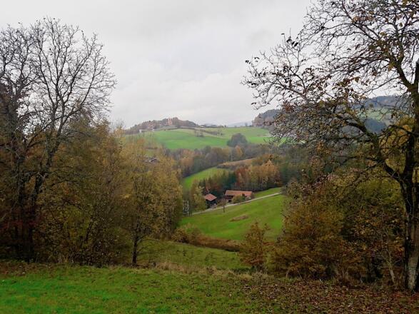 Blick nach Hl. Kreuz hinüber