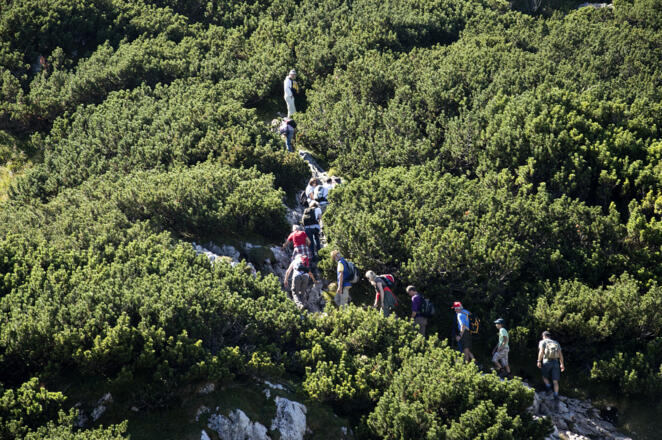 Hochbetrieb auf dem Toni-Lenz-Steig