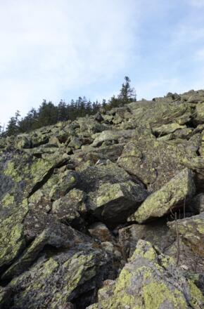 Blockmeer zum Zwercheck