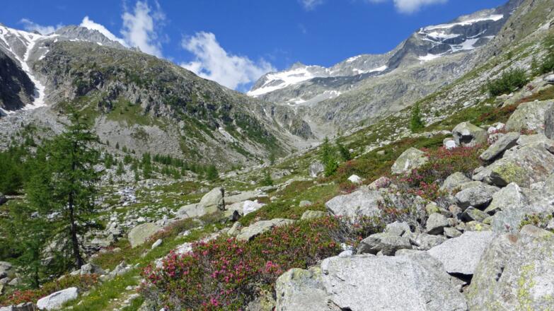 Die Patscher Schneid