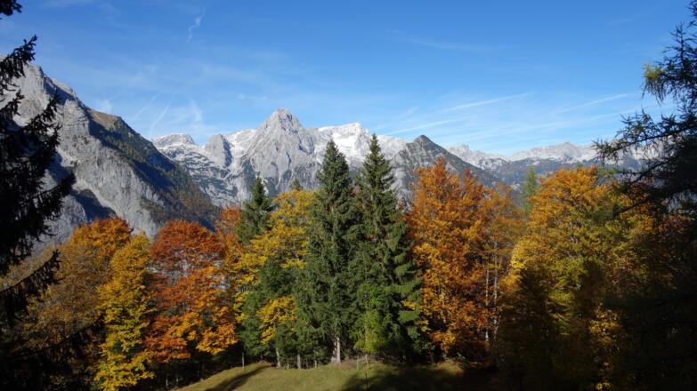 Herbst-Panorama ~1240m