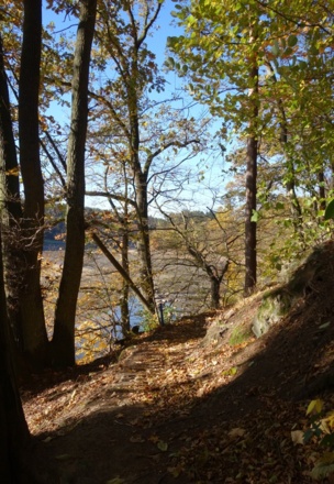Uferpfad Eixendorfer Stausee