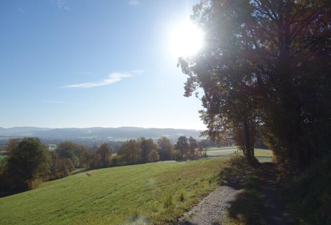 Goldsteig bei Bauhof