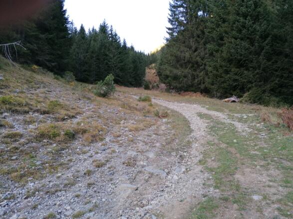 Steiler werdend