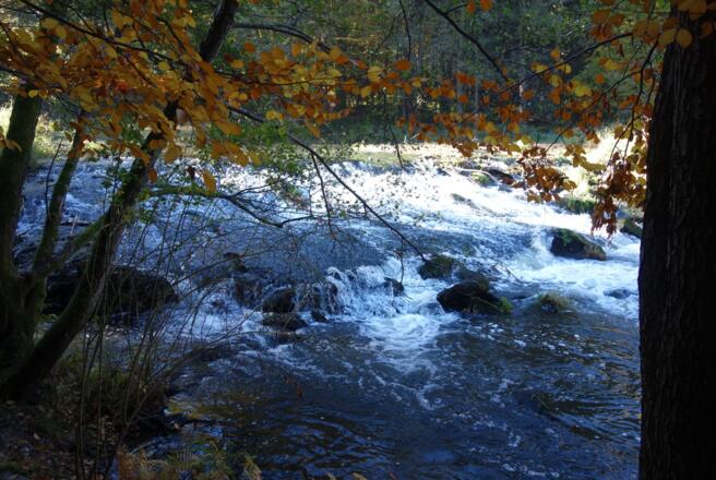 Naturwehr an der Schwarzach