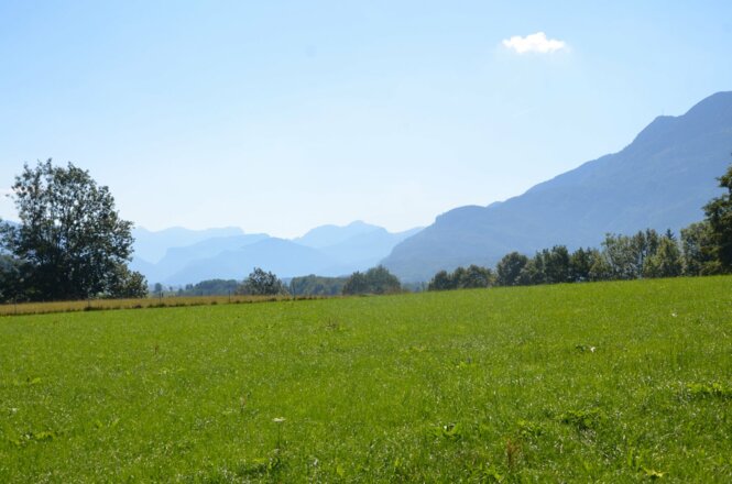 FiSCHERGUT Panorama
