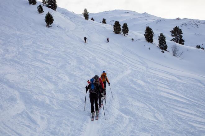 Aufstieg über die Wiesen der Viertelalm