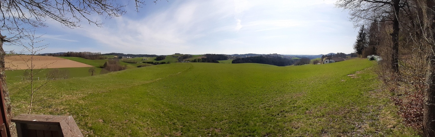 Panorama über Sarleinsbach