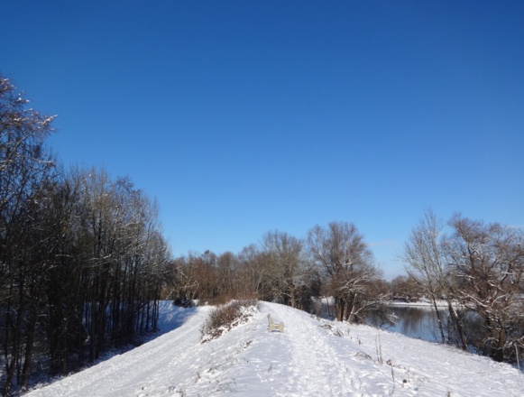 Donaudamm auf der Vogelau